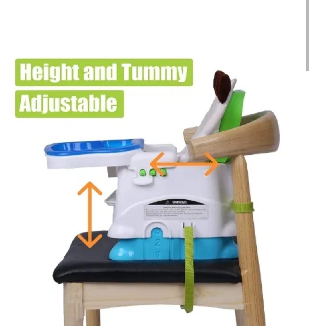 Evergreen Booster Seat 5