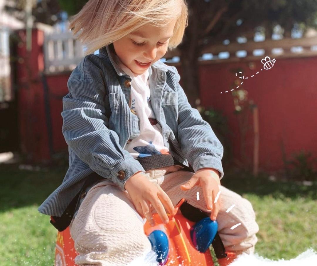 Evergreen Fun Case 14