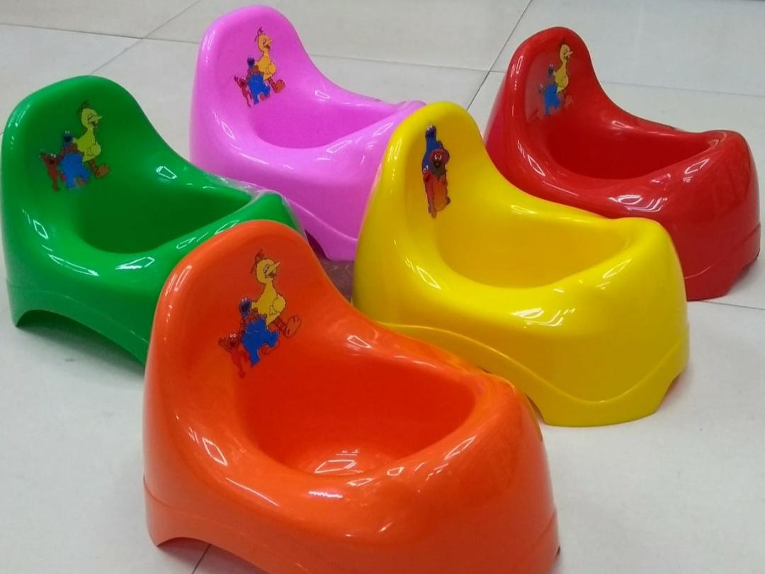 Evergreen Potty Seat 9