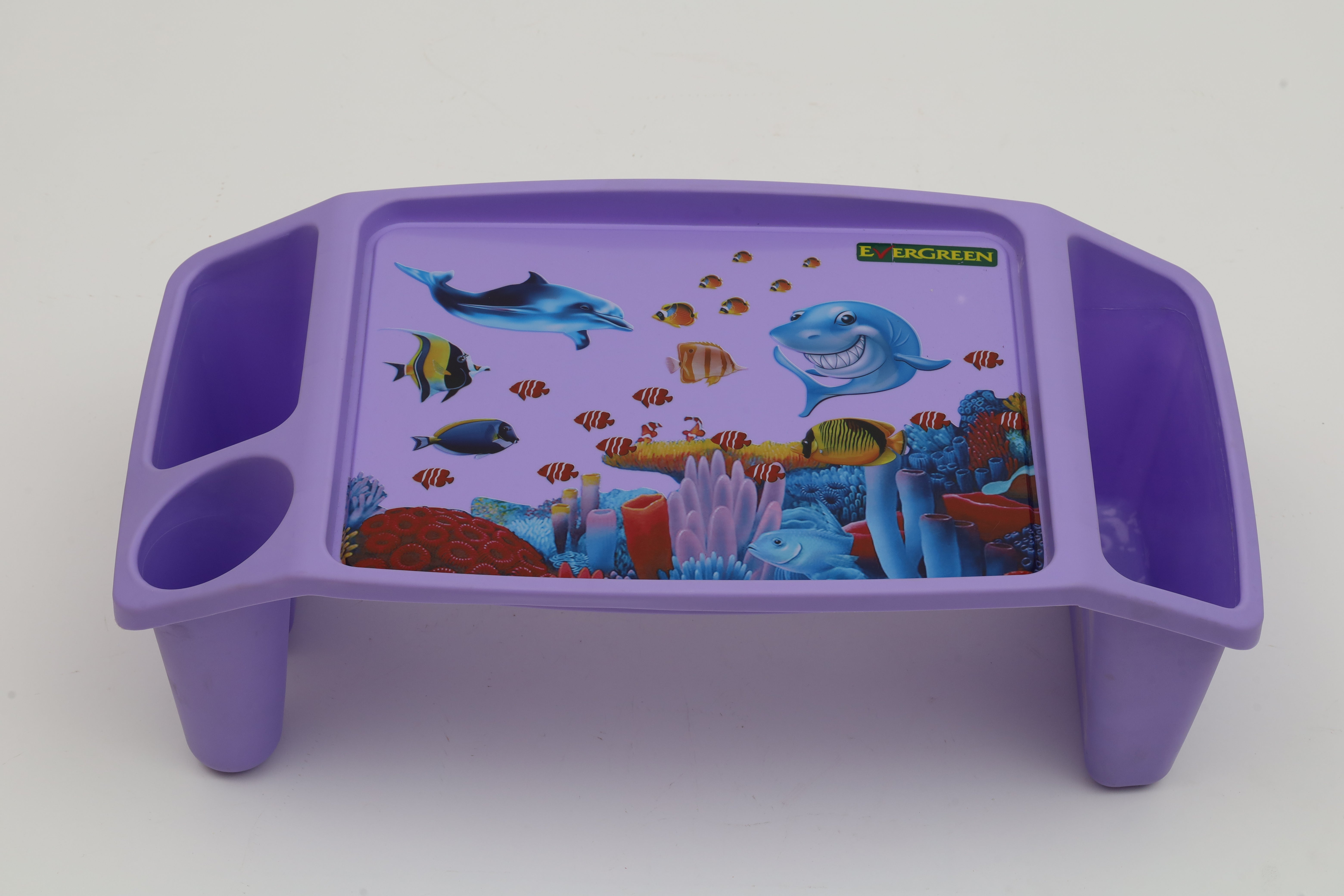 Evergreen Activity Desk 7