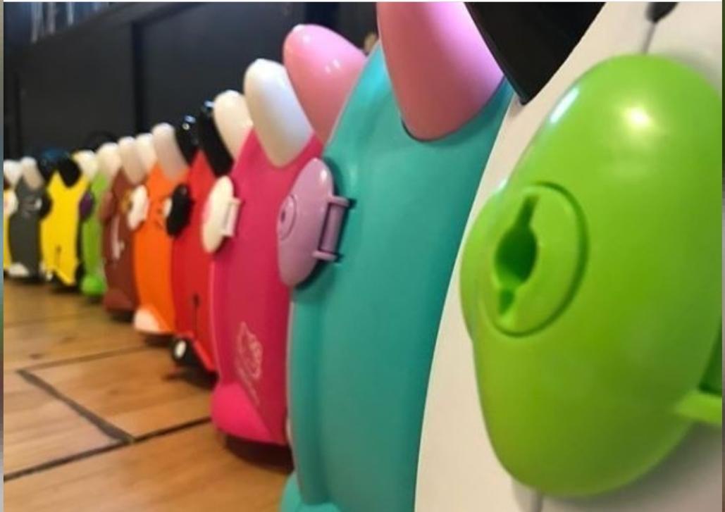 Evergreen Fun Case 20