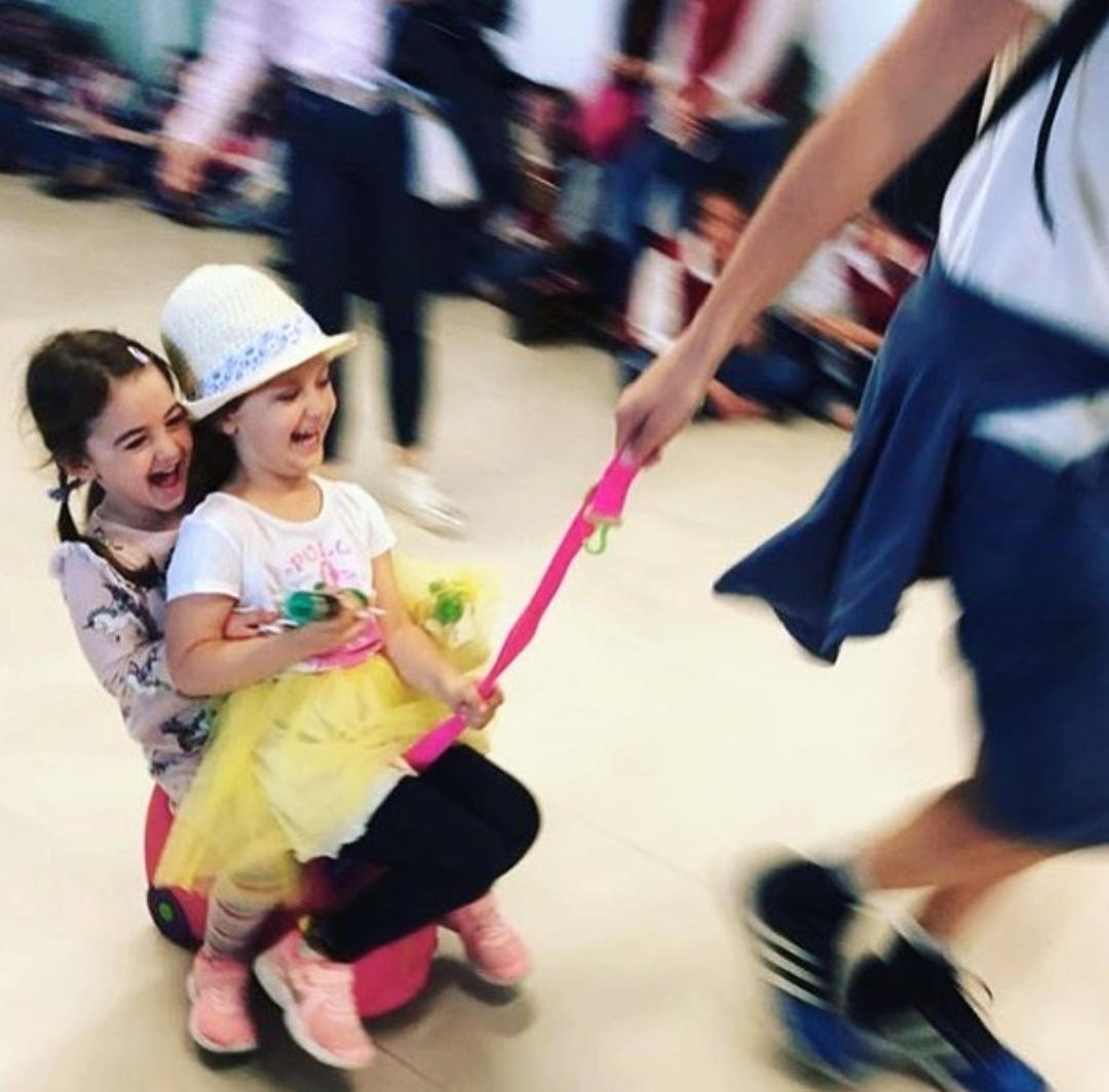 Evergreen Fun Case 19